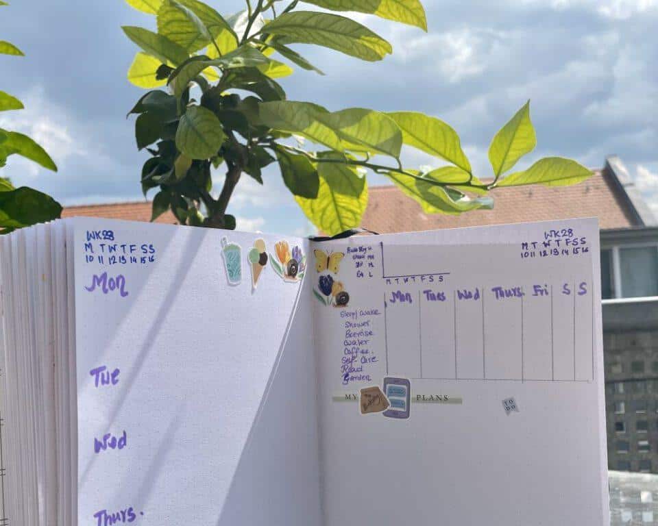 journal layout  with lemon tree at background garden