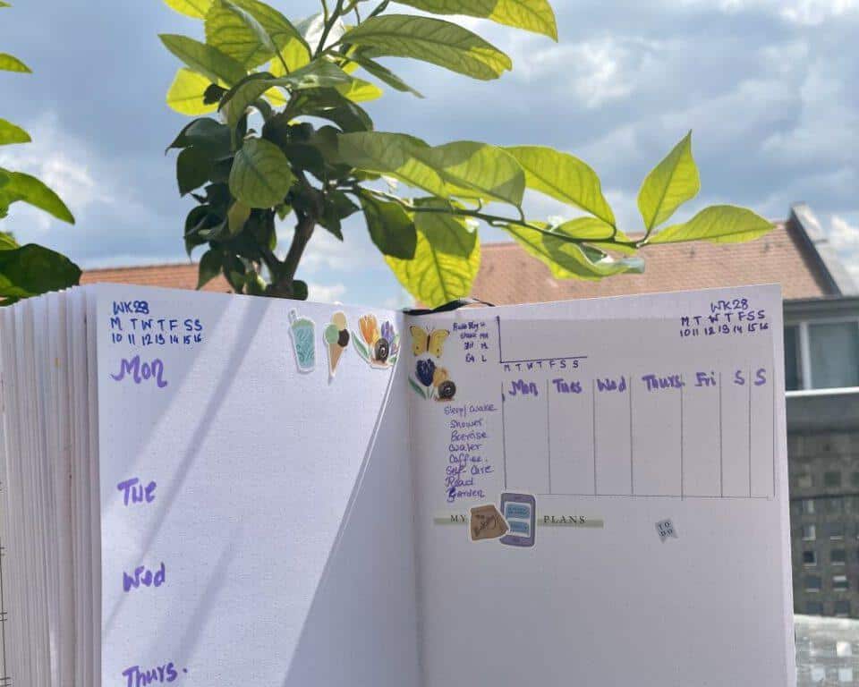 journal layout with lemon tree at background garden