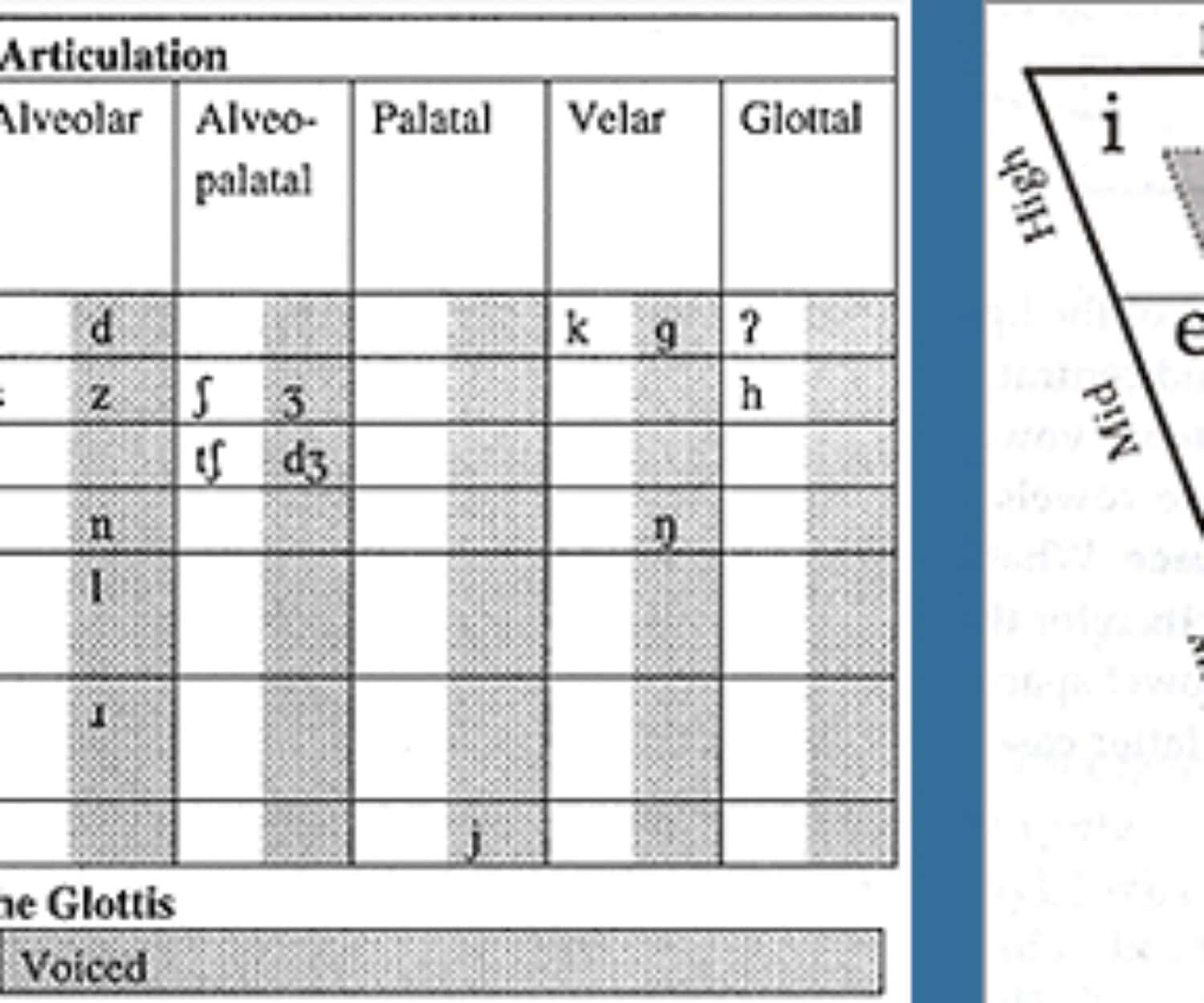 IPA Chart