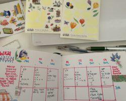Premium Stationery Shop