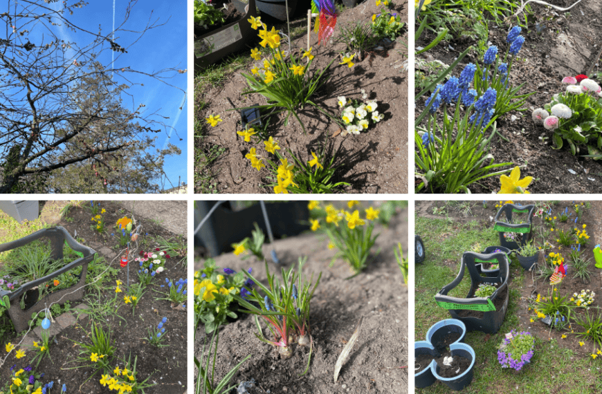 5 Ultimate Tips for Spring Garden Herb Garden as Balcony Garden