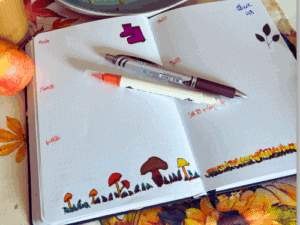 A5 Journal Bundle (Archer & Olive)