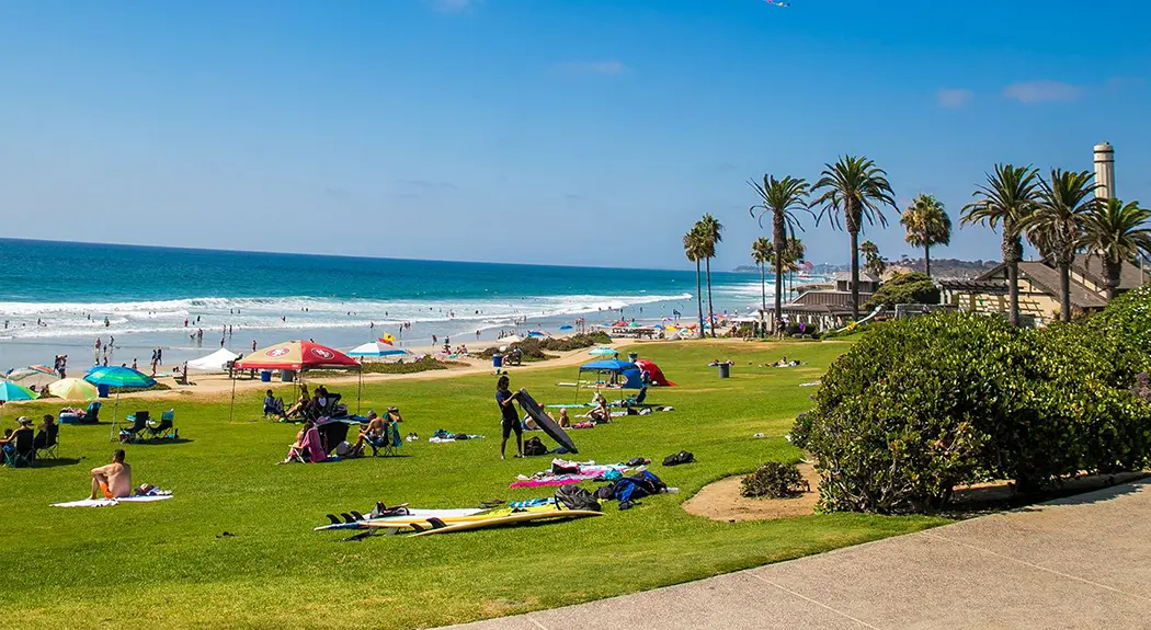 A grassy beach full of people relaxing.