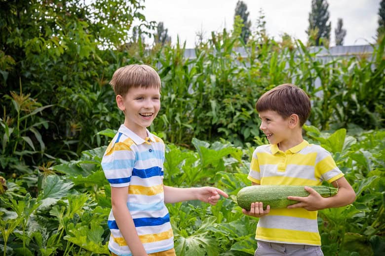 Community Gardening benefits