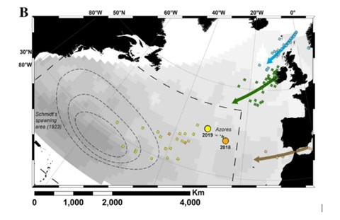 map of tagged eel individuals