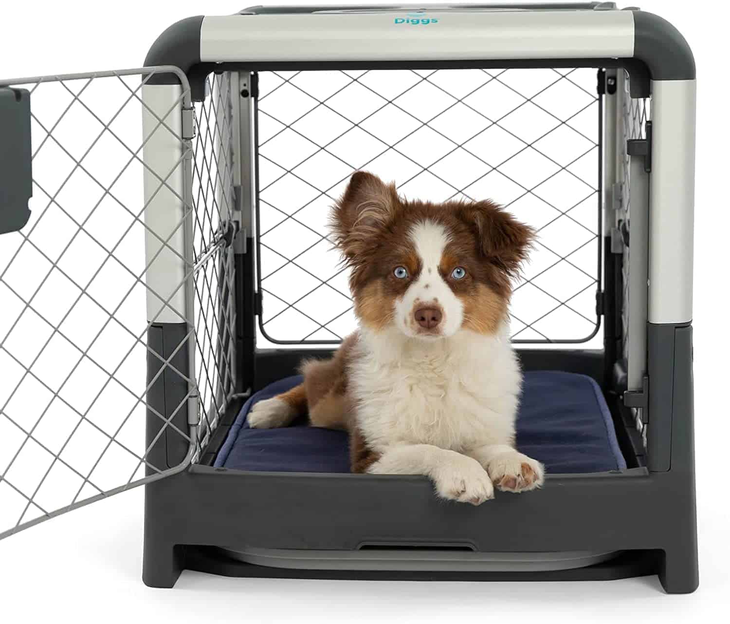australian shepherd puppy lying down comfortably in Diggs dog crate