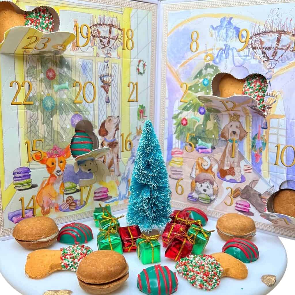 close up of bonne et filou advent calendar dog treats with macarons, truffles and cookies