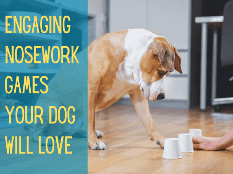 cute brown and white dog mixed breed playing the shell game with its owner. Image text conveys engaging nosework games for dogs that they will love