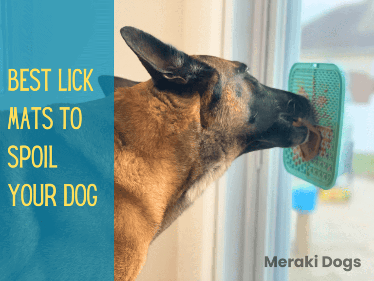 brown dog licking lick mat on back door