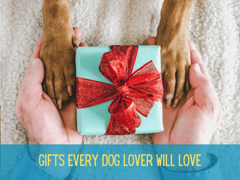brown dog paws lying in human's palms with a wrapped gift between both hands and paws, text conveys best gifts for dog lovers