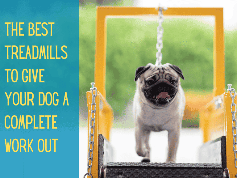 cute pug walking on yellow treadmill slatmill, image text conveys best dog treadmills