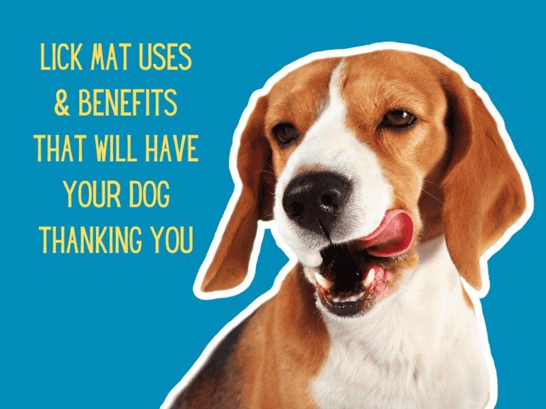 close up of well bred beagle's head and chest, licking lips, text conveys benefits of the dog lick mat