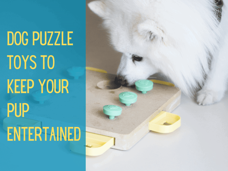 white fluffy dog sniffing dog puzzle toy, with text conveying the selection of dog puzzle toys