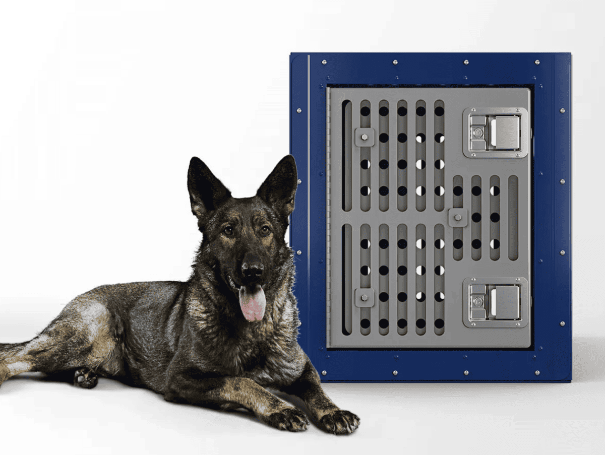 working line german shepherd lying next to a dark blue TNC crate, one of the best dog crates