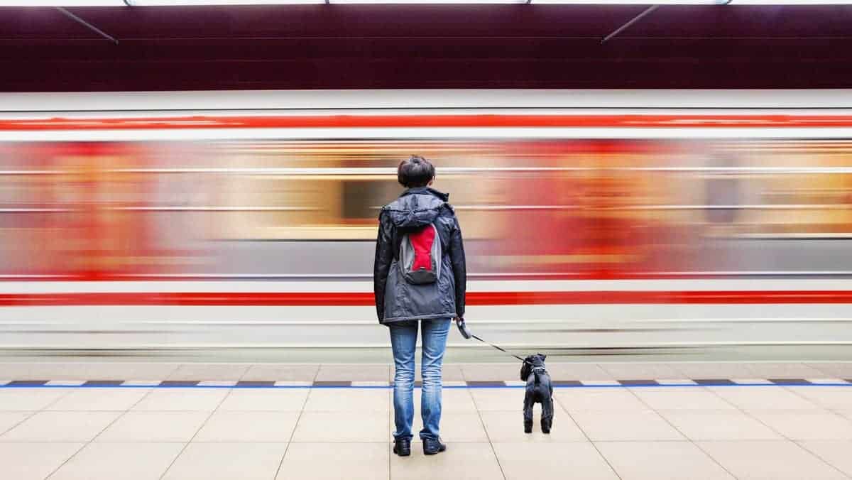Lonely woman with dog at subway station platform with blurry moving train in background