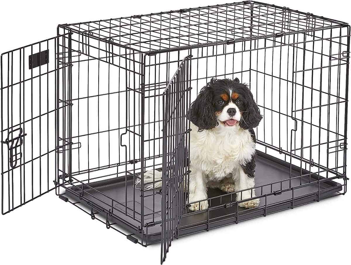midwest wire dog crate with a cavalier king charles spaniel