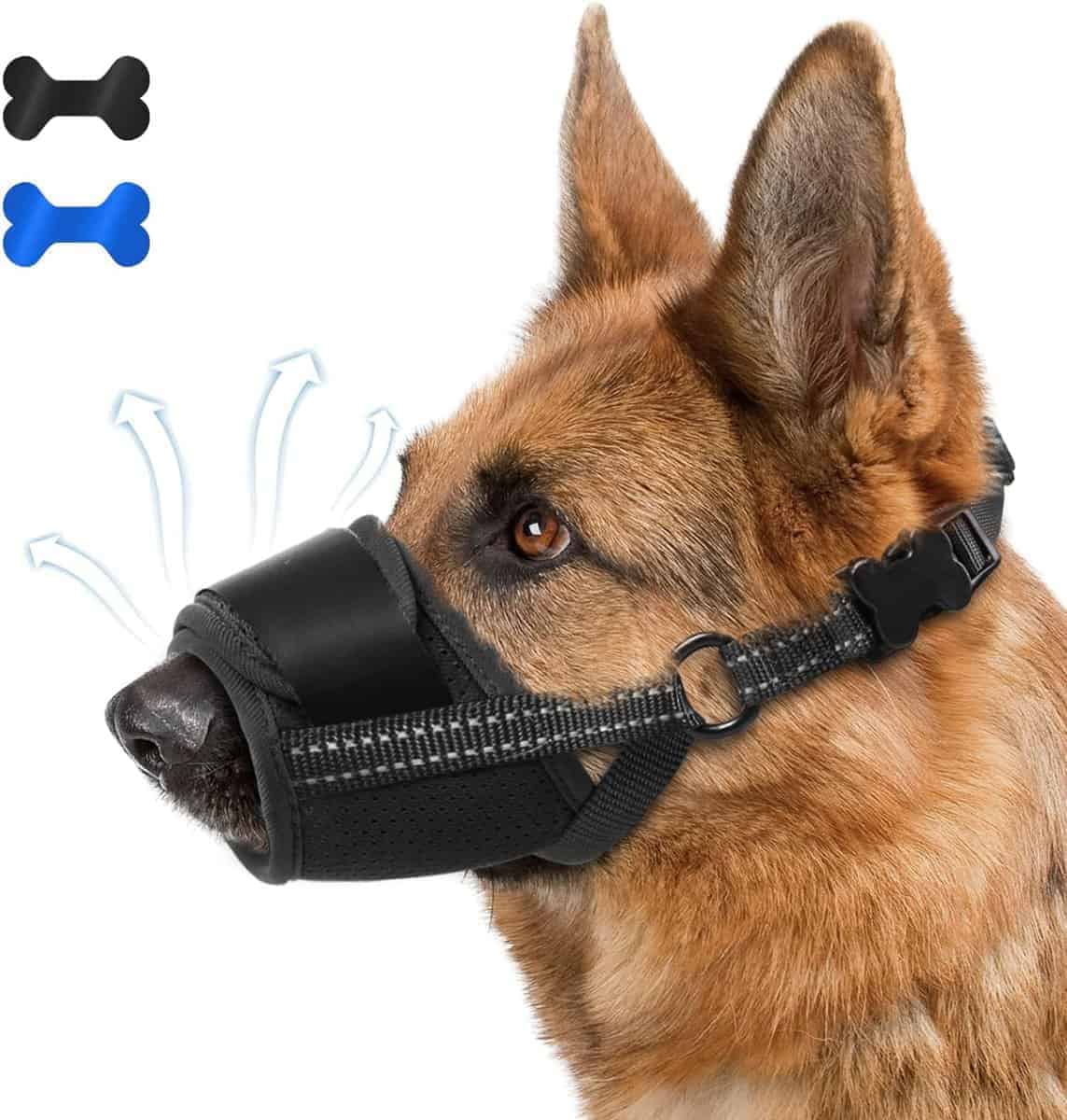 close up of german shepherd dog wearing a soft muzzle