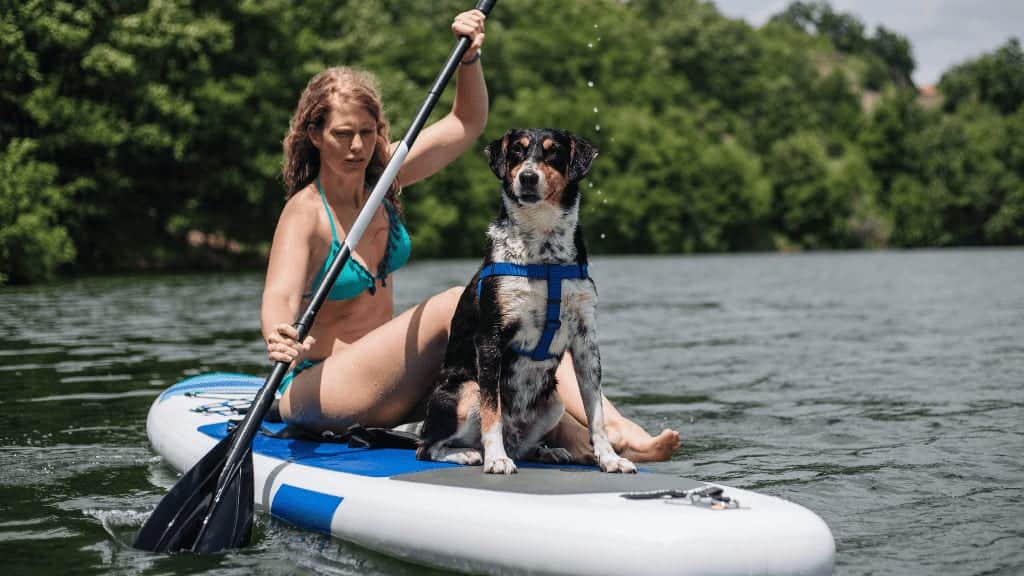 woman and dog paddling on paddle board, learning how to paddle board with your dog