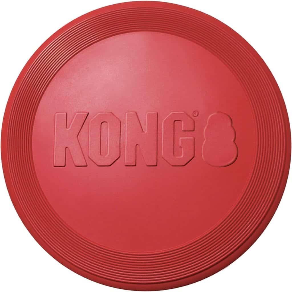 red kong flyer best dog frisbee