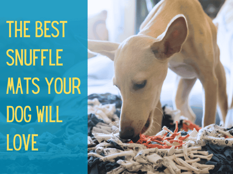 mix breed sniffing through snuffle mat for dogs