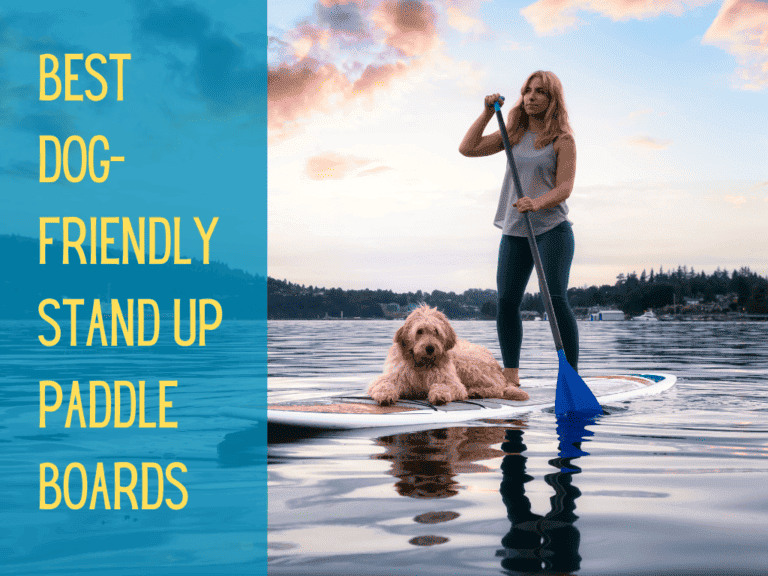 woman paddling with her dog on a stand up paddle board