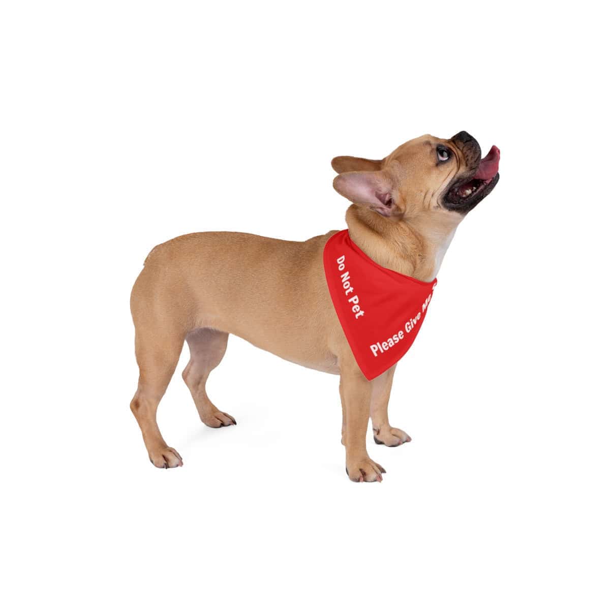 'Do Not Pet' Bandana for Dogs - Image 5