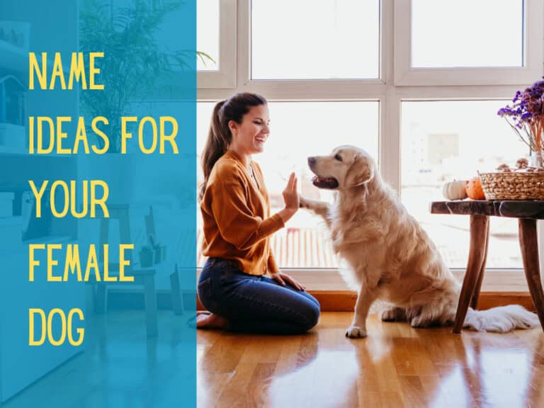 woman giving her golden retriever a high five