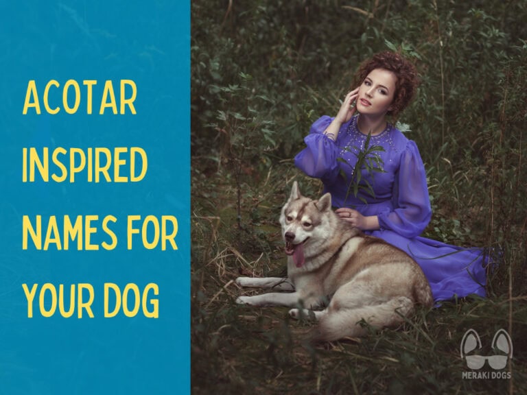 fairy woman in dark forest with beautiful red husky