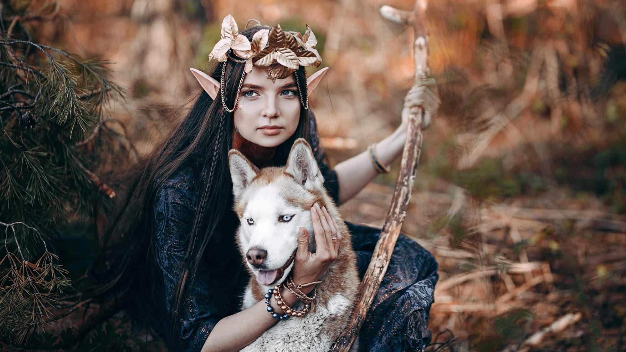 beautiful elf woman, fairy forest, fantasy young woman with long ears, red and white husky, a court of thorns and roses inspired dog names, fall background