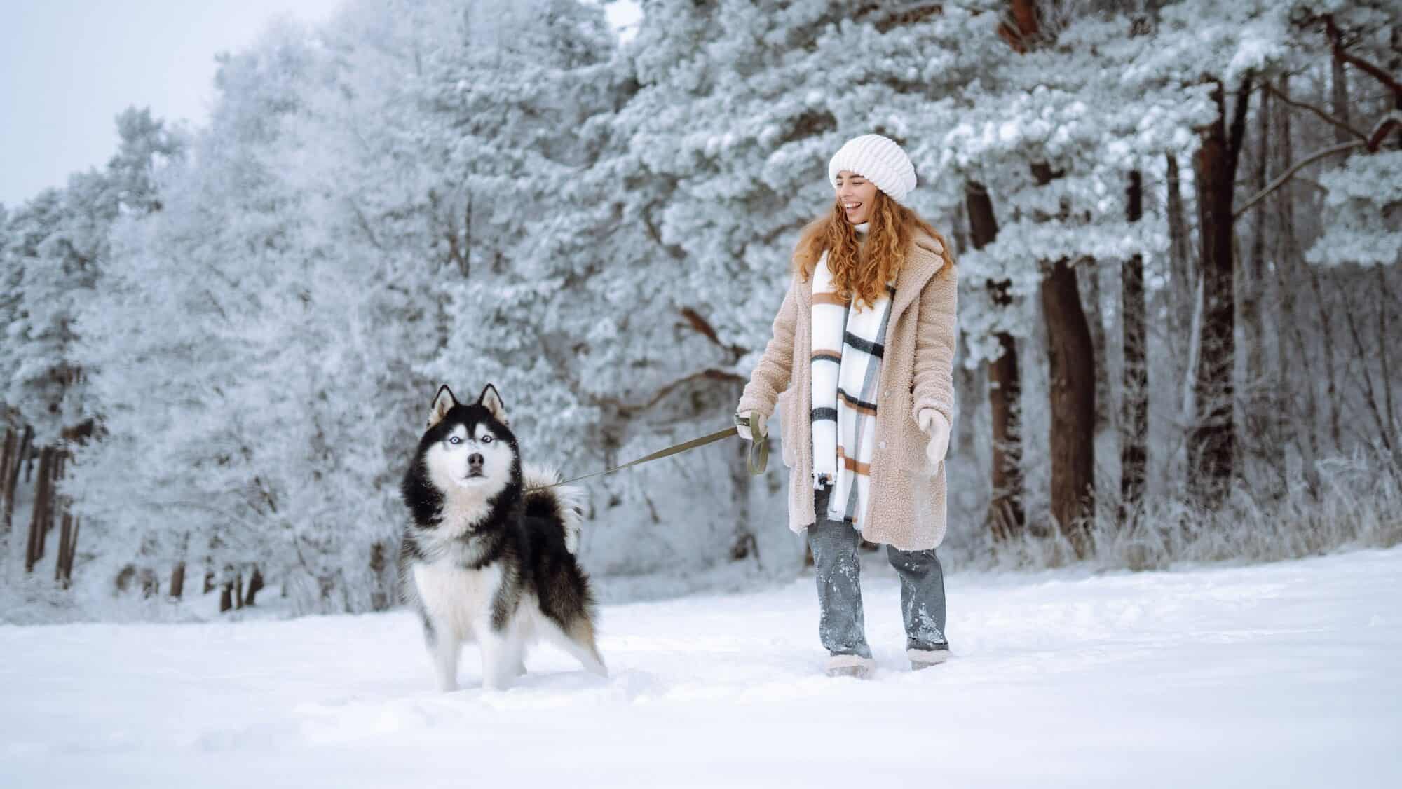 Beautiful young woman plays with her dog in winter forest. First snow Friendship. Outdoor recreation