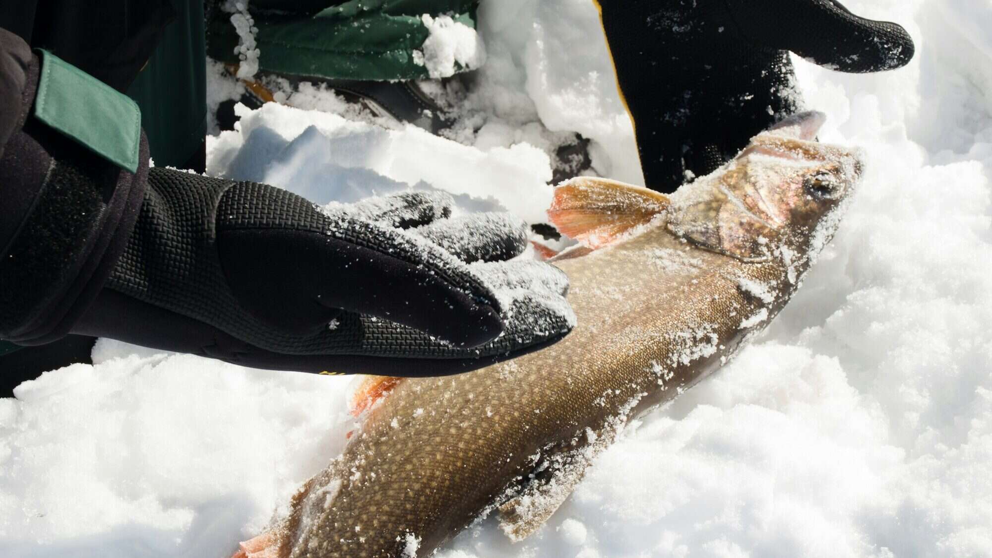 Ice Fishing