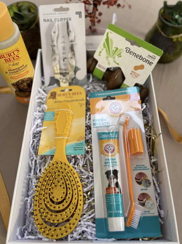 dog grooming kit with brush, burts bees shampoo, toothbrush, benebone