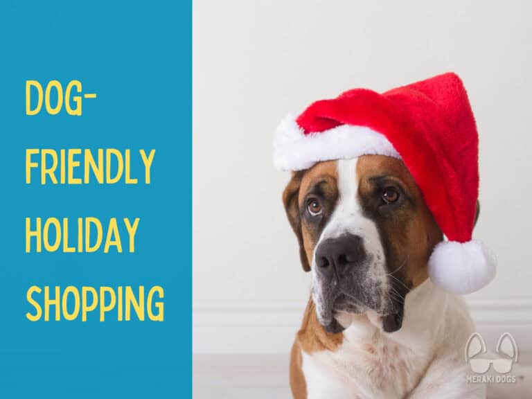 brown and white dog wearing a santa hat