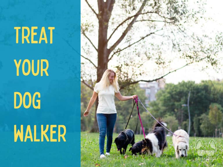 dog walker walking group of dogs through a grassy area