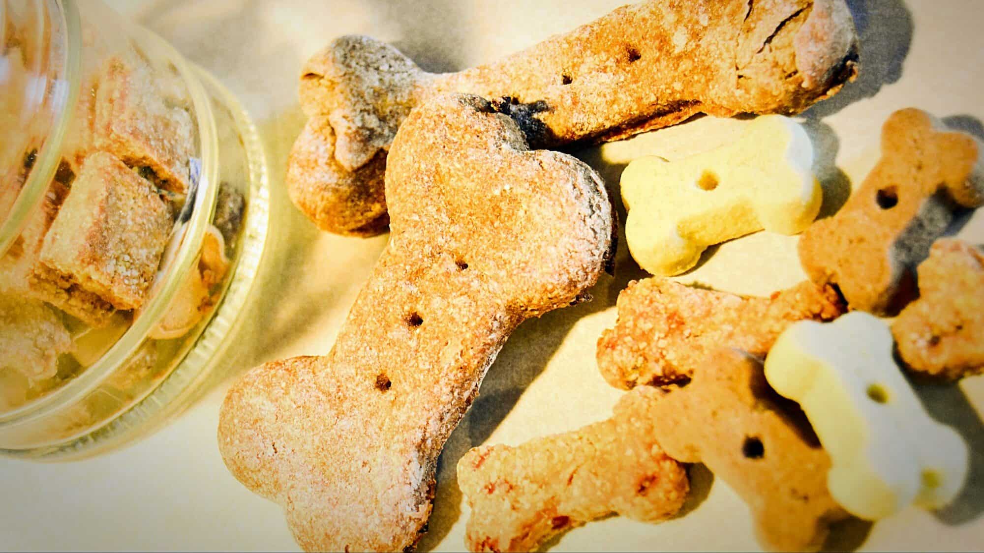 Treats fir dogs