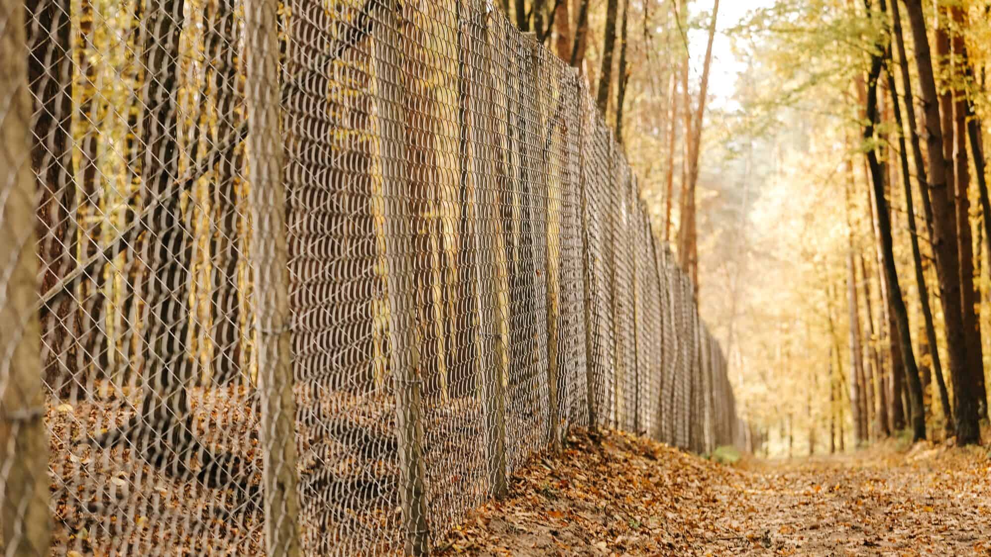 House fence Iron and outdoor. metal fence in the autumn sunny park. selective focus