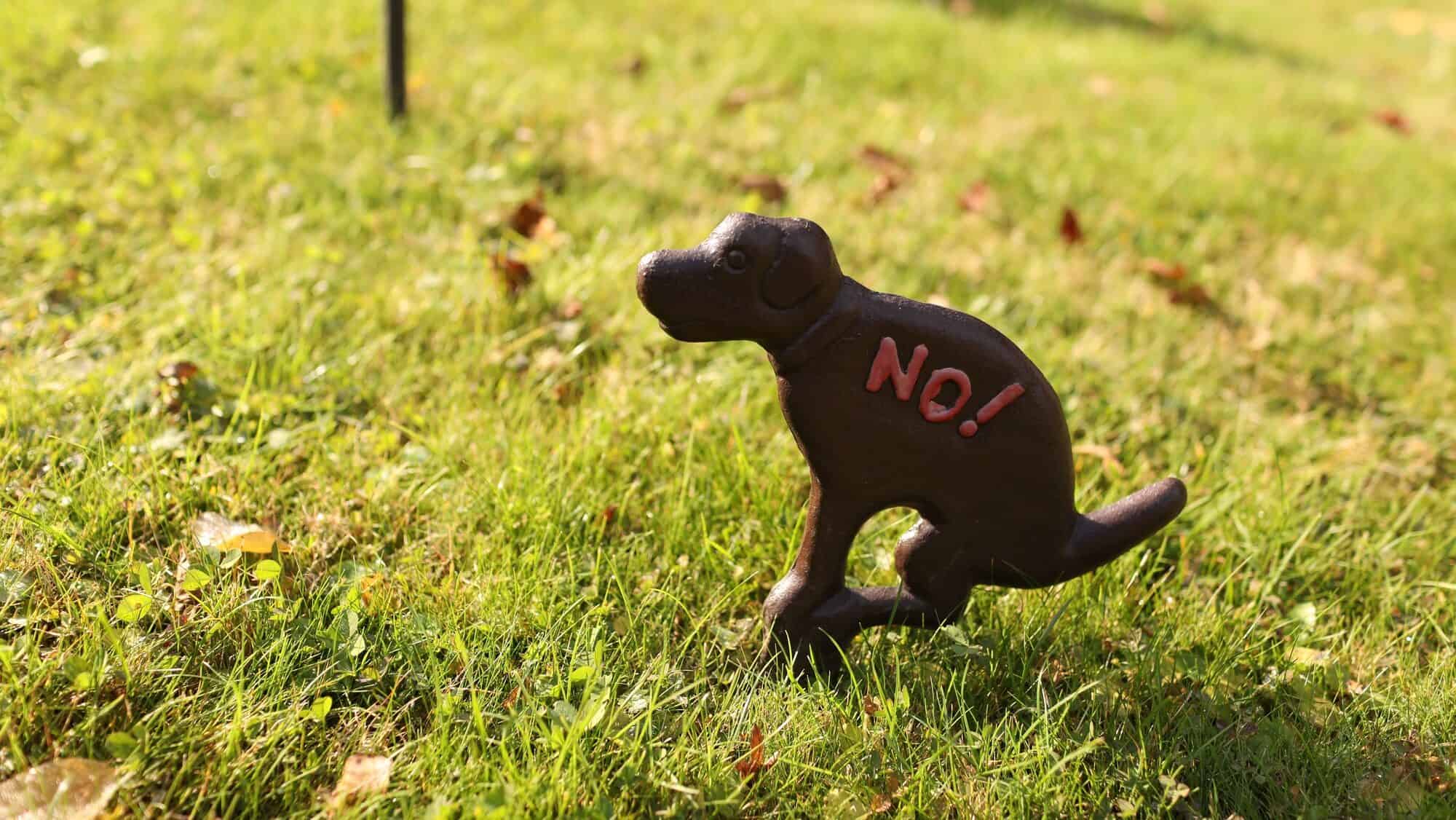 Funny dog walking prohibited sign on the grass.