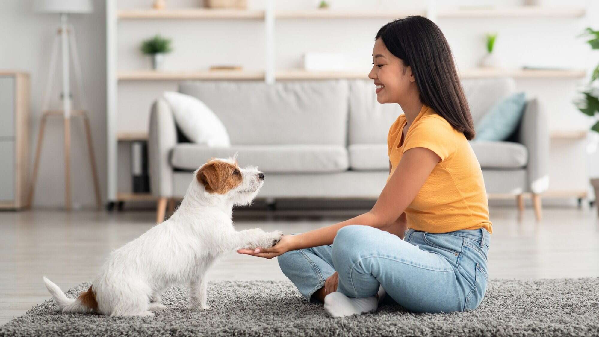 Joyful asian woman training her puppy to give paw