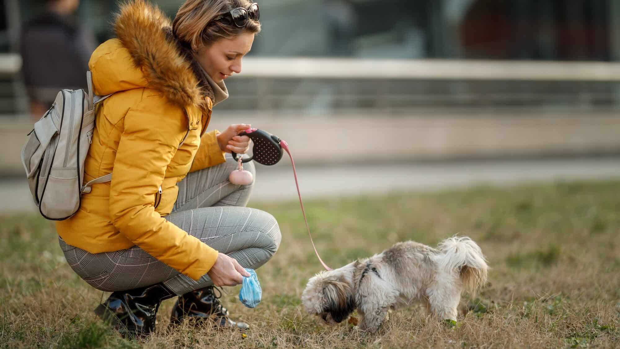 Leash And Clean Up After Your Pet
