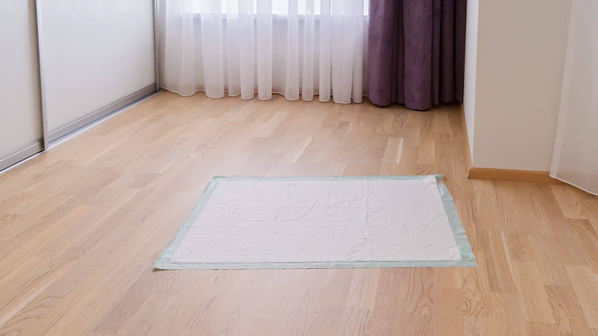 Pee diaper pads for puppy on floor in room. Waterproof pet pads for protecting flooring surface, puppy pad vs outside training
