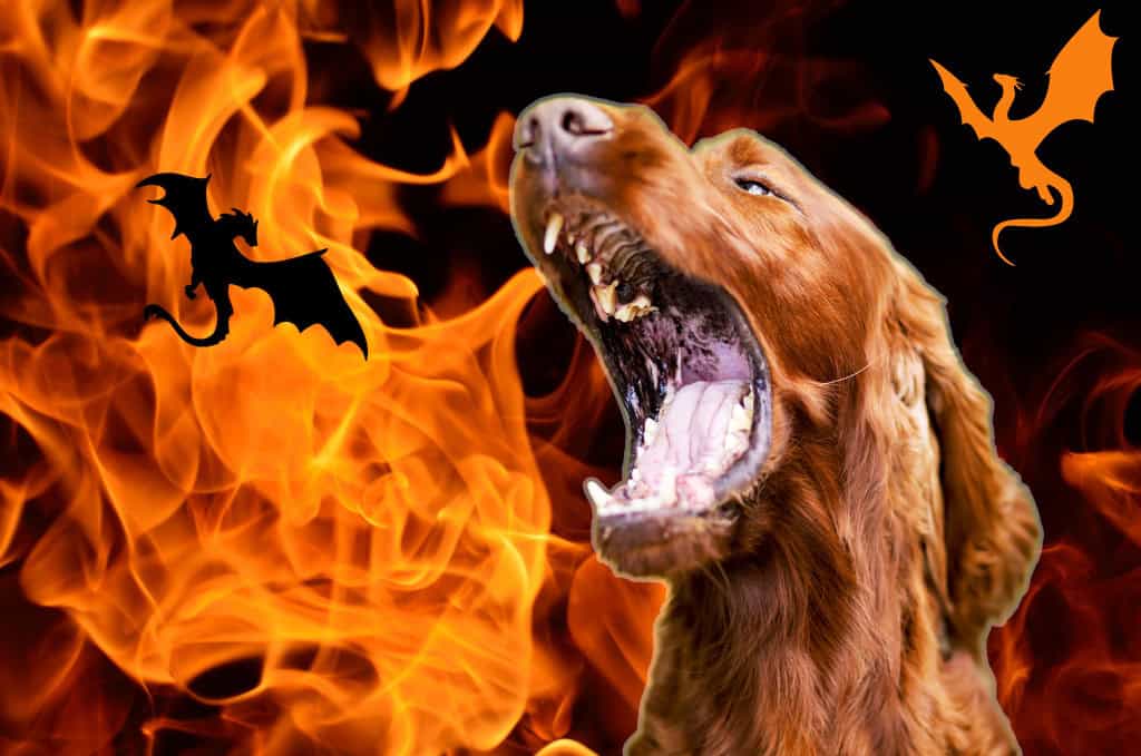 funny dog blowing fire like a dragon, The Empyrean Series inspired dog names