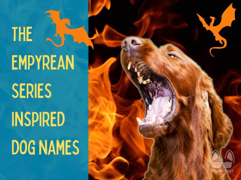 funny dog blowing fire like a dragon, text says The Empyrean Series inspired dog names