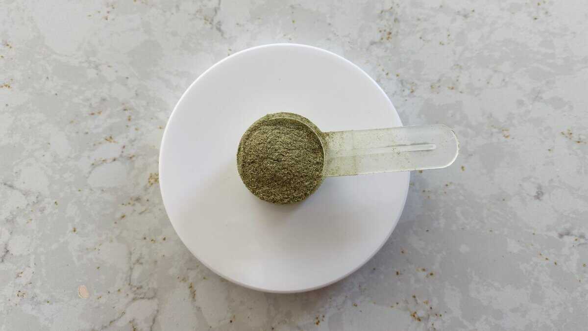 petlabco probright scoop