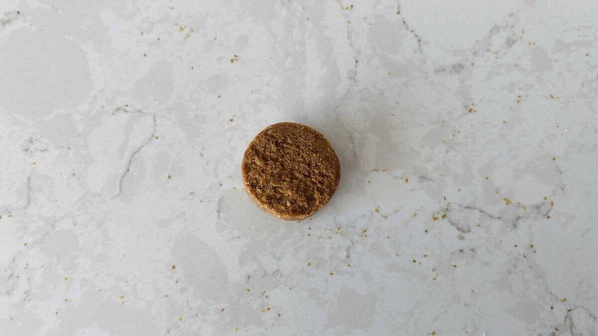 petlabco single probiotic chew