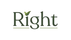 right temizlik ürünü kurumsal kimlik tasarımı