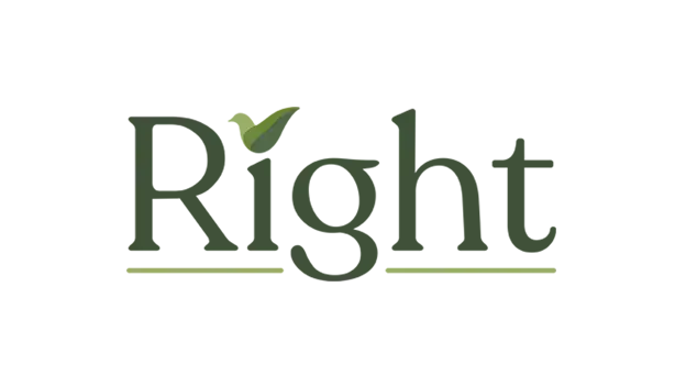 right temizlik &uuml;r&uuml;n&uuml; kurumsal kimlik tasarımı