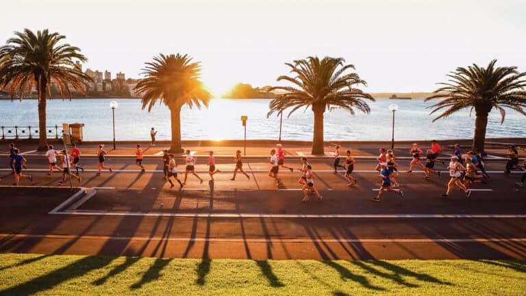 Sydney Half content hero running sunrise harbour scenic left 768x432