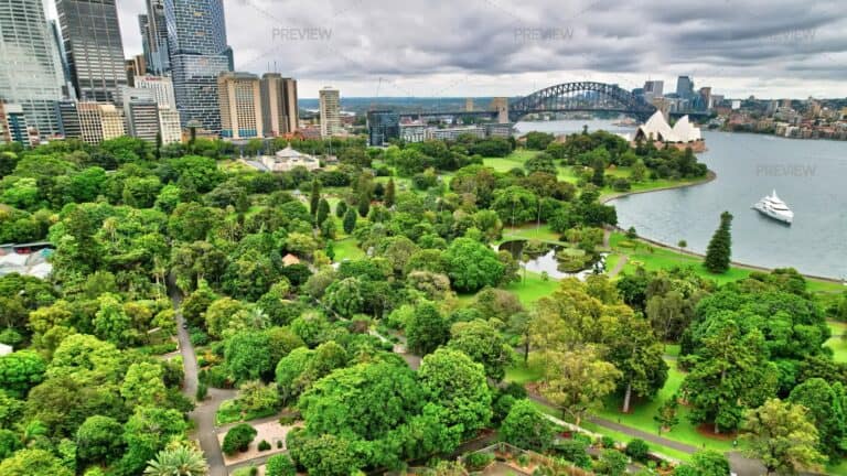 Sydney Botanical Gardens To The Harbour high resolution preview 2747972 768x432