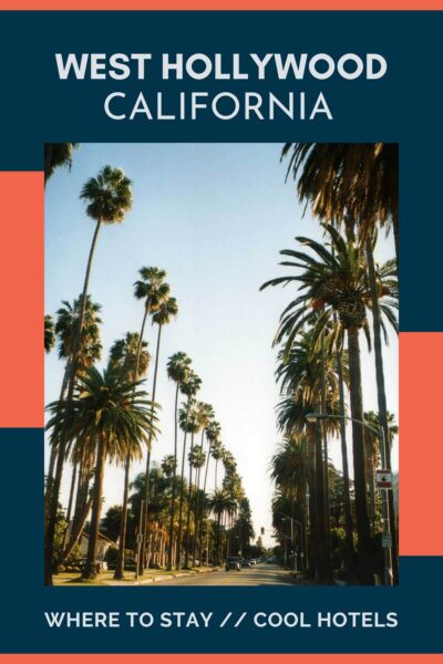 Palm trees along a boulevard in West Hollywood.