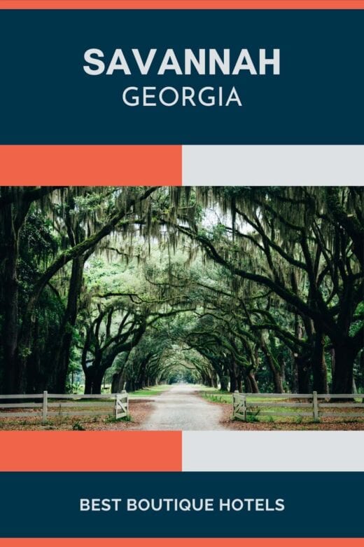 A kissing canopy of trees in Savannah, Georgia.